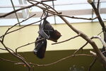 DSC_9112.JPG